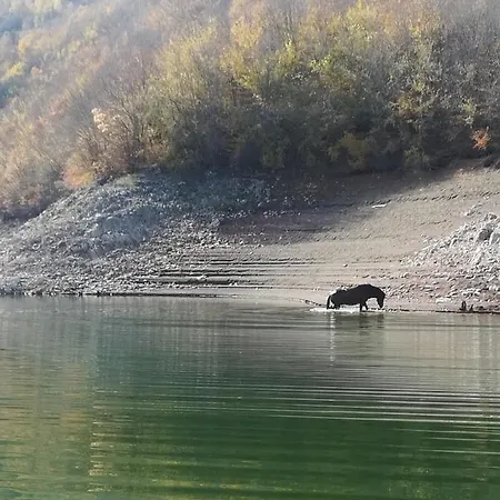 Appartement Zlatar Holidays *