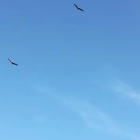 Zlatar Holidays * Nova Varoš