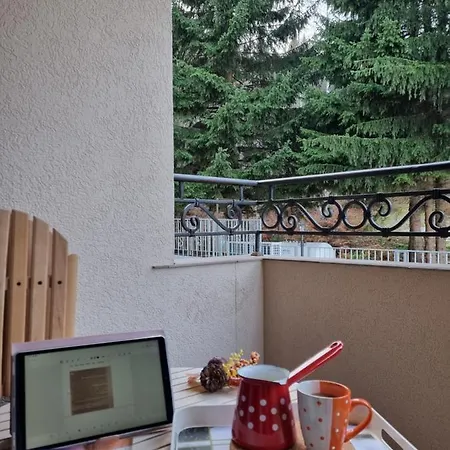 Zlatar Holidays *